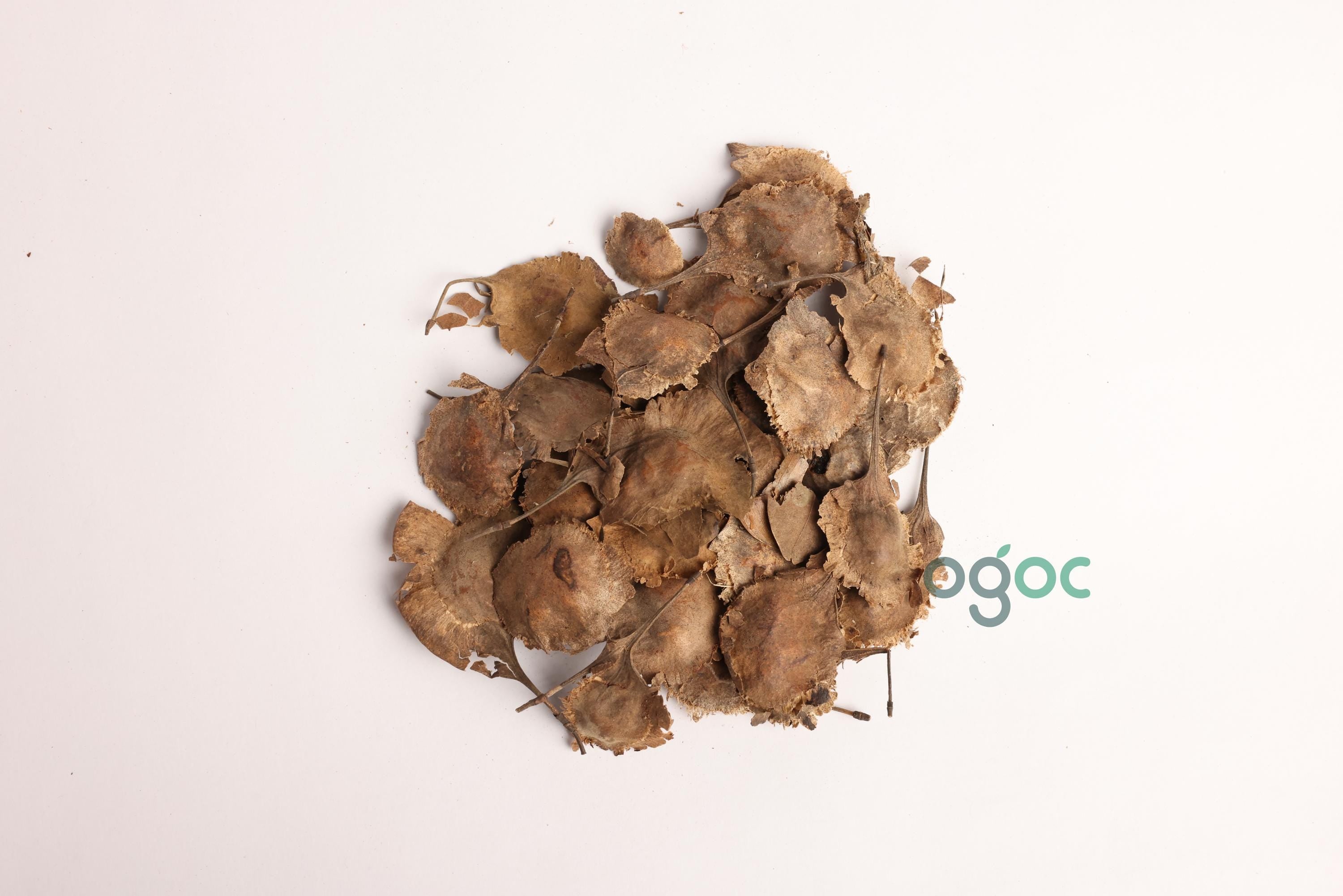 Pterocarpus Santalinus Tree Seeds - Red Sandalwood Seeds for Aromatic Gardens & Woodworking| OGOC