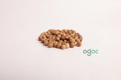 Santalum Album Tree Seeds - Sandalwood Seeds for Fragrant Gardens & Woodcraft| OGOC
