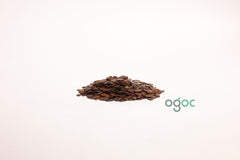 Leucaena Leucocephala Tree Seeds - White Leadtree Seeds for Sustainable Gardens & Landscapes | OGOC