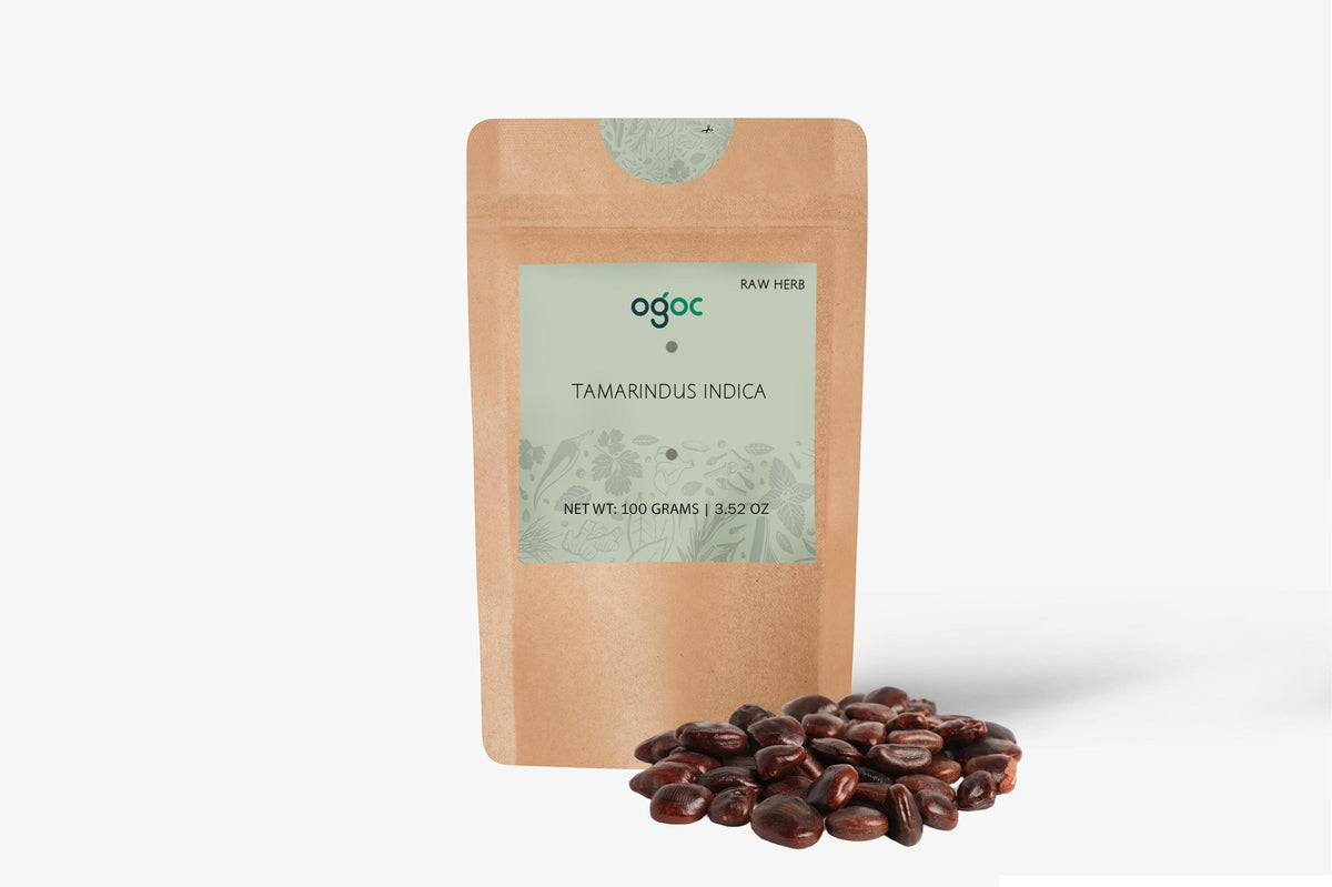 Tamarindus Indica Tree Seeds - Tamarind Seeds for Tropical Gardens & Culinary Delights| OGOC