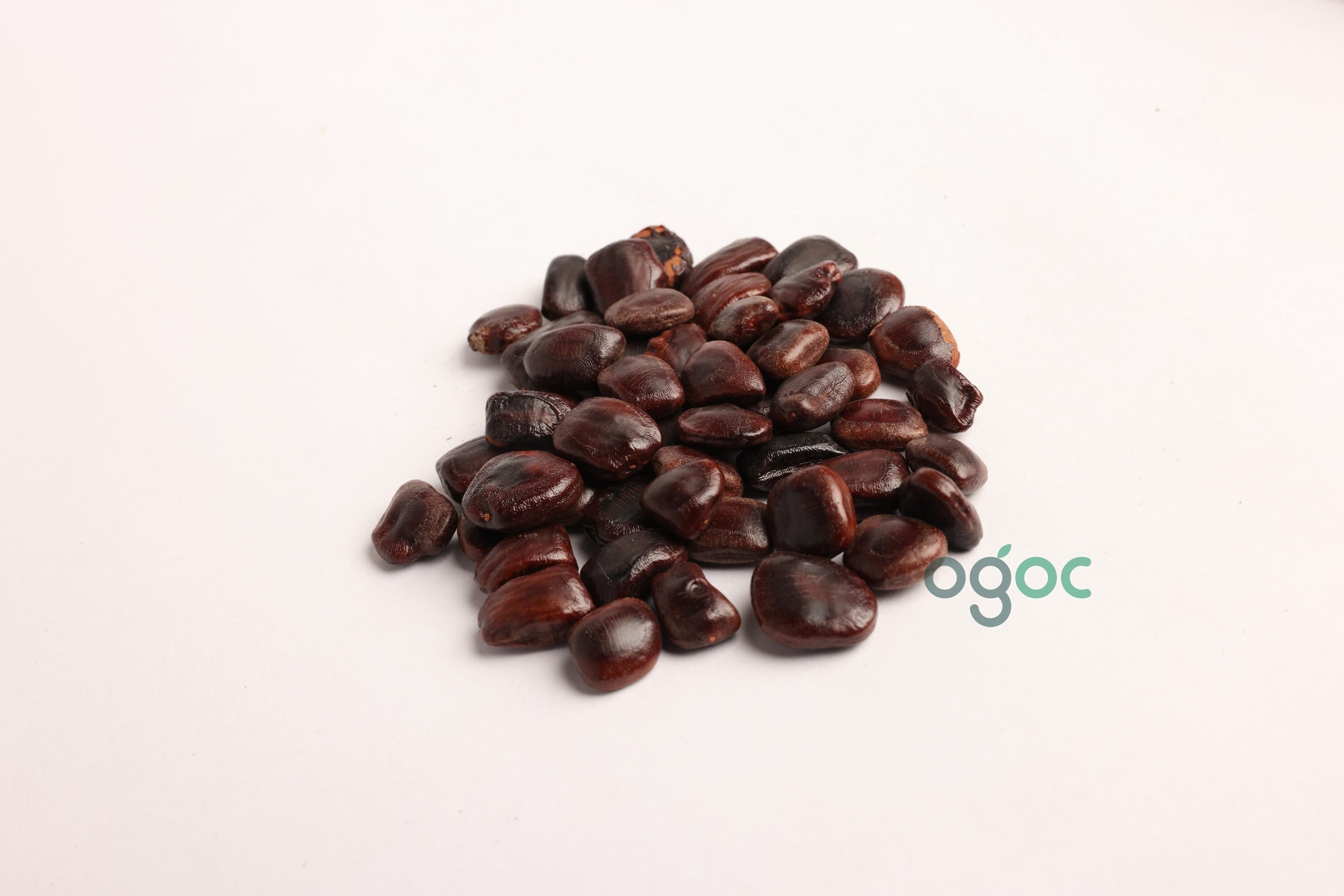 Tamarindus Indica Tree Seeds - Tamarind Seeds for Tropical Gardens & Culinary Delights| OGOC
