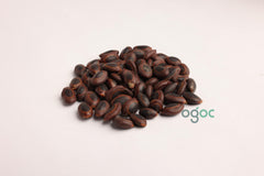 Sterculia Guttata Tree Seeds - Indian Almond Seeds for Ornamental Gardens & Shade Trees| OGOC