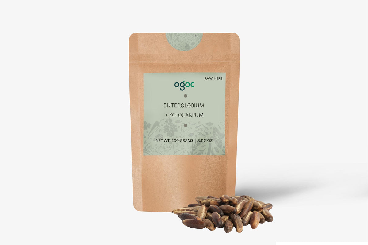 Enterolobium Cyclocarpum Tree Seeds - RARE Elephant Ear Seeds for Tropical Gardens & Landscapes | OGOC