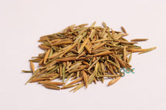 Briedelia Retusa Seeds - RARE Indian Sandalwood Tree Seeds for Aromatic Gardens | OGOC