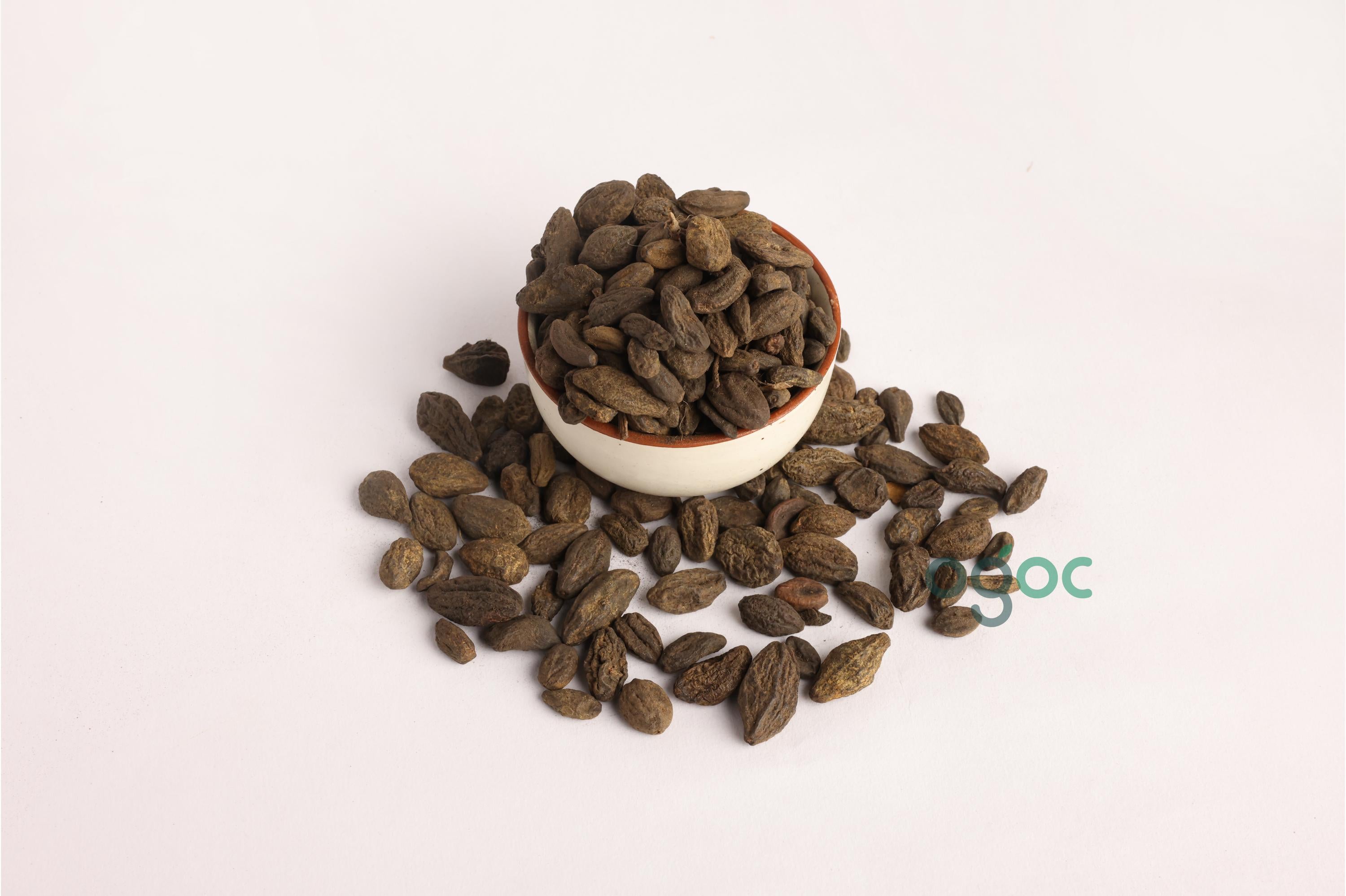 Terminalia Chebula (Myrobalan) | Harra, Harad, Kadukai Thodu | Traditional Herbal Use| OGOC