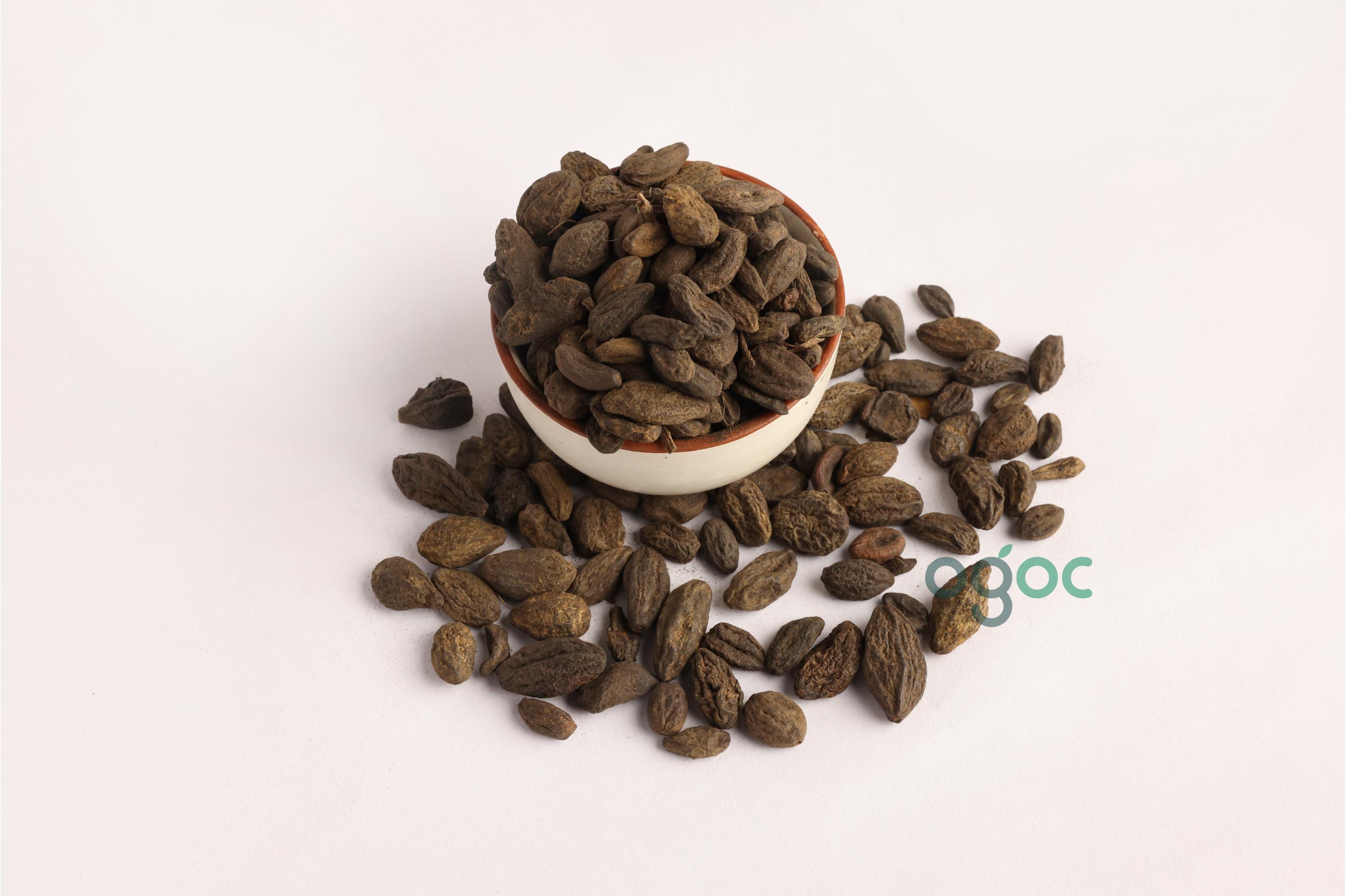 Terminalia Chebula (Myrobalan) | Harra, Harad, Kadukai Thodu | Traditional Herbal Use| OGOC