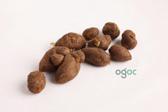 KOORKA - CHINESE POTATOES Bulbs | Coleus rotundifolius | Organic Bulbs | Gardening Rhizomes bulbs | kitchen Plantation from GodsowncountryIN