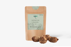 Rare Elephant Ear Colocasia Esculenta Taro Bulbs - Unique Exotic Plant Rhizomes| OGOC