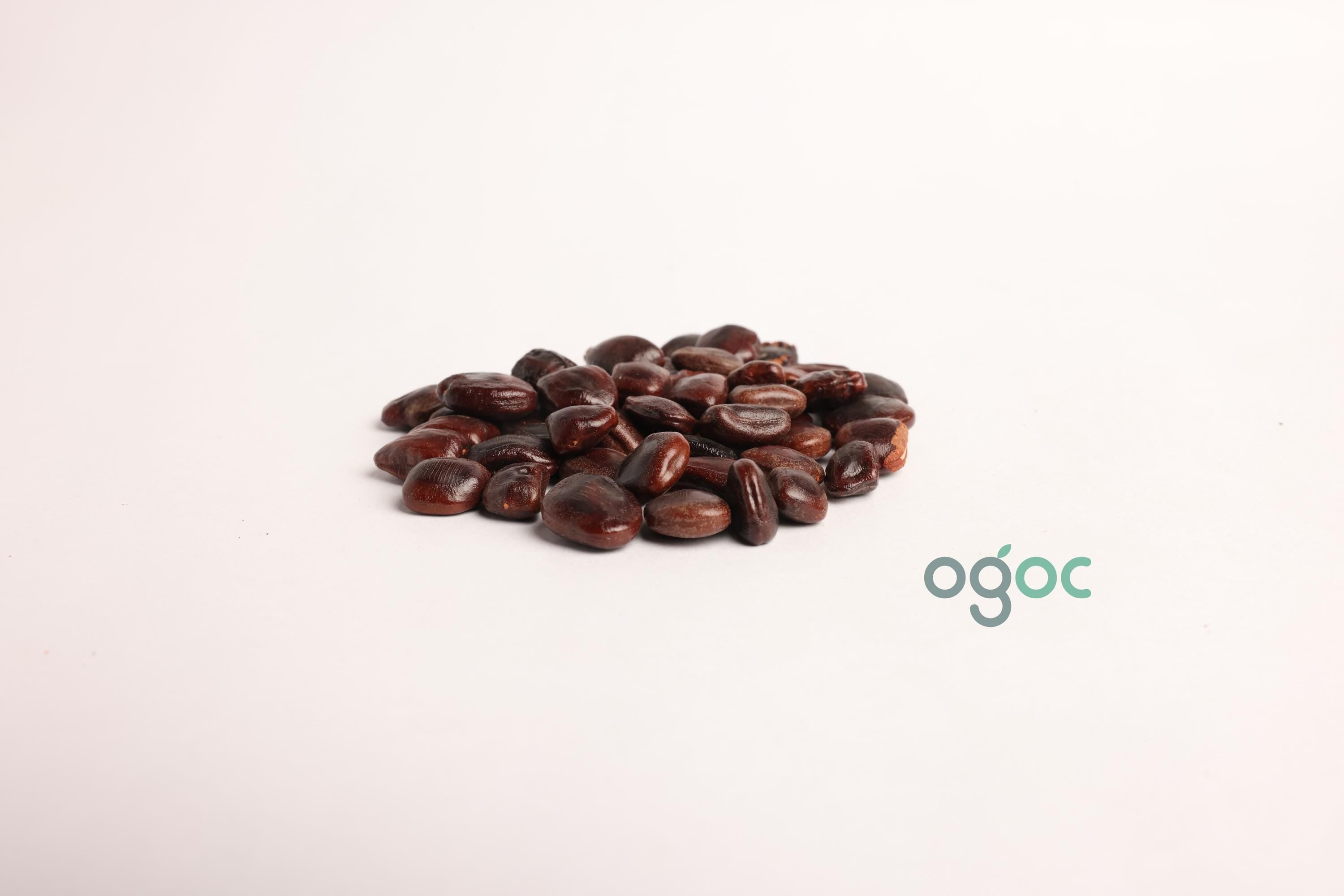 Tamarindus Indica Tree Seeds - Tamarind Seeds for Tropical Gardens & Culinary Delights| OGOC