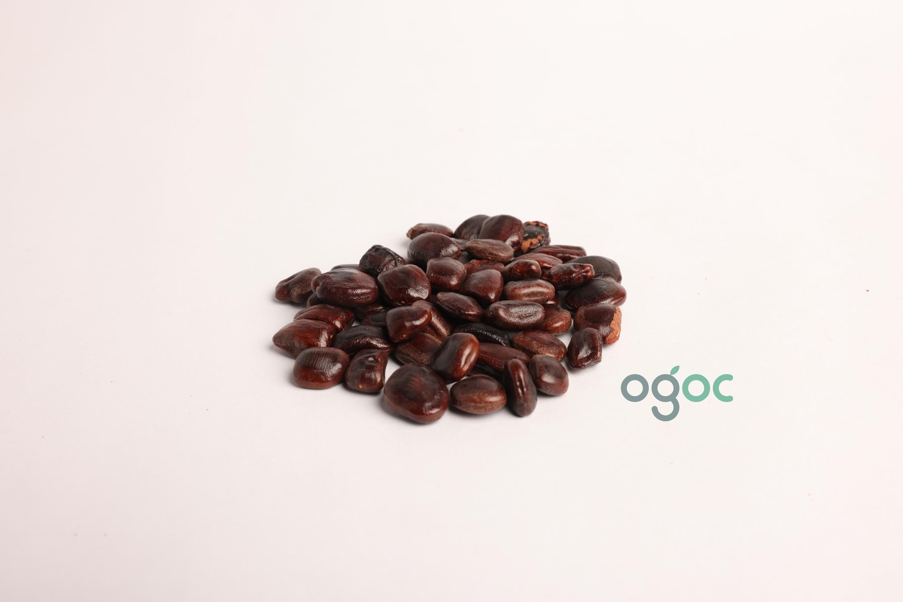 Tamarindus Indica Tree Seeds - Tamarind Seeds for Tropical Gardens & Culinary Delights| OGOC