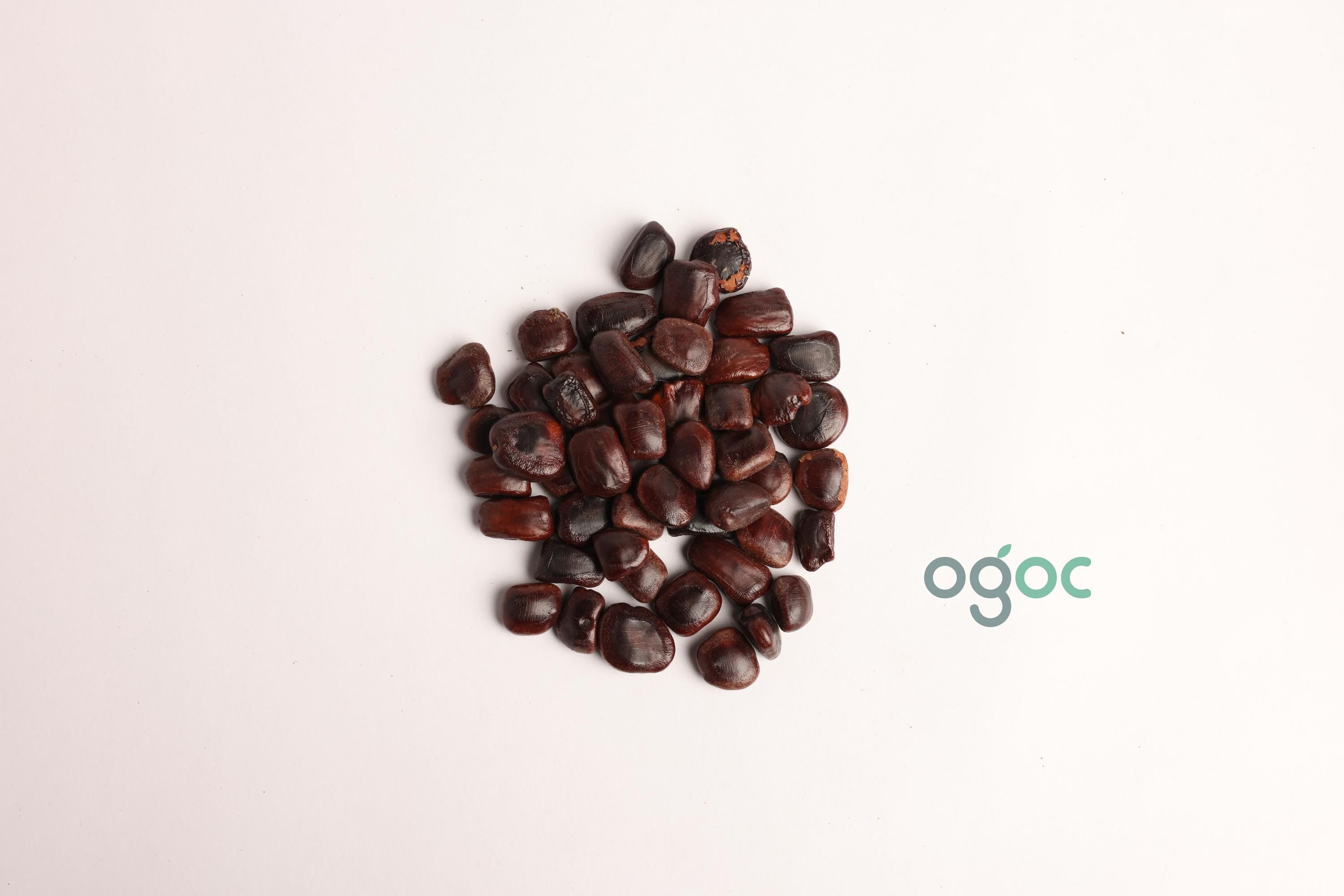 Tamarindus Indica Tree Seeds - Tamarind Seeds for Tropical Gardens & Culinary Delights| OGOC
