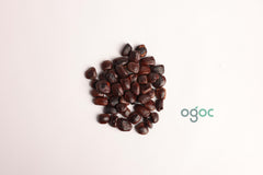 Tamarindus Indica Tree Seeds - Tamarind Seeds for Tropical Gardens & Culinary Delights| OGOC