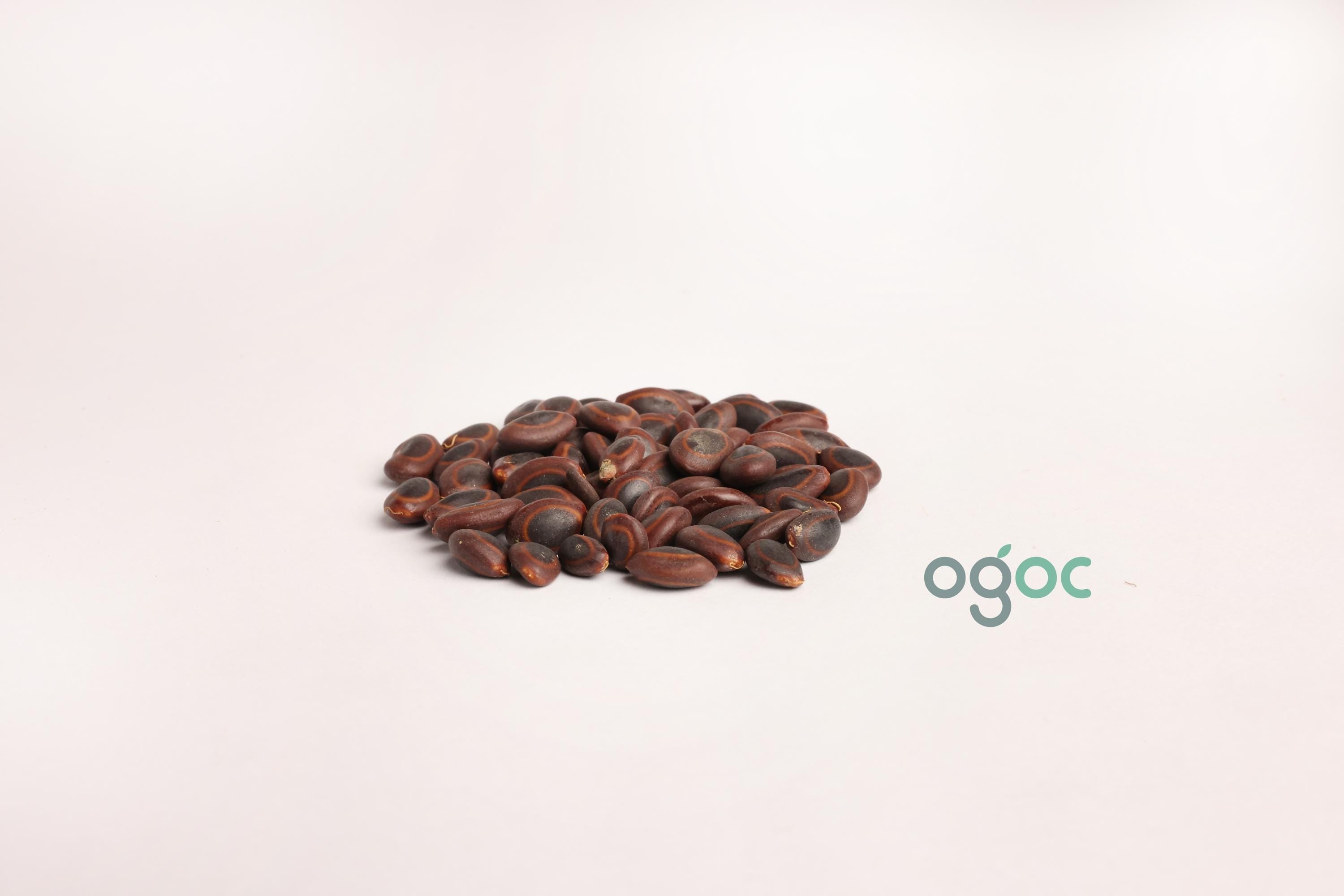 Sterculia Guttata Tree Seeds - Indian Almond Seeds for Ornamental Gardens & Shade Trees| OGOC
