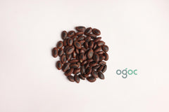 Sterculia Guttata Tree Seeds - Indian Almond Seeds for Ornamental Gardens & Shade Trees| OGOC