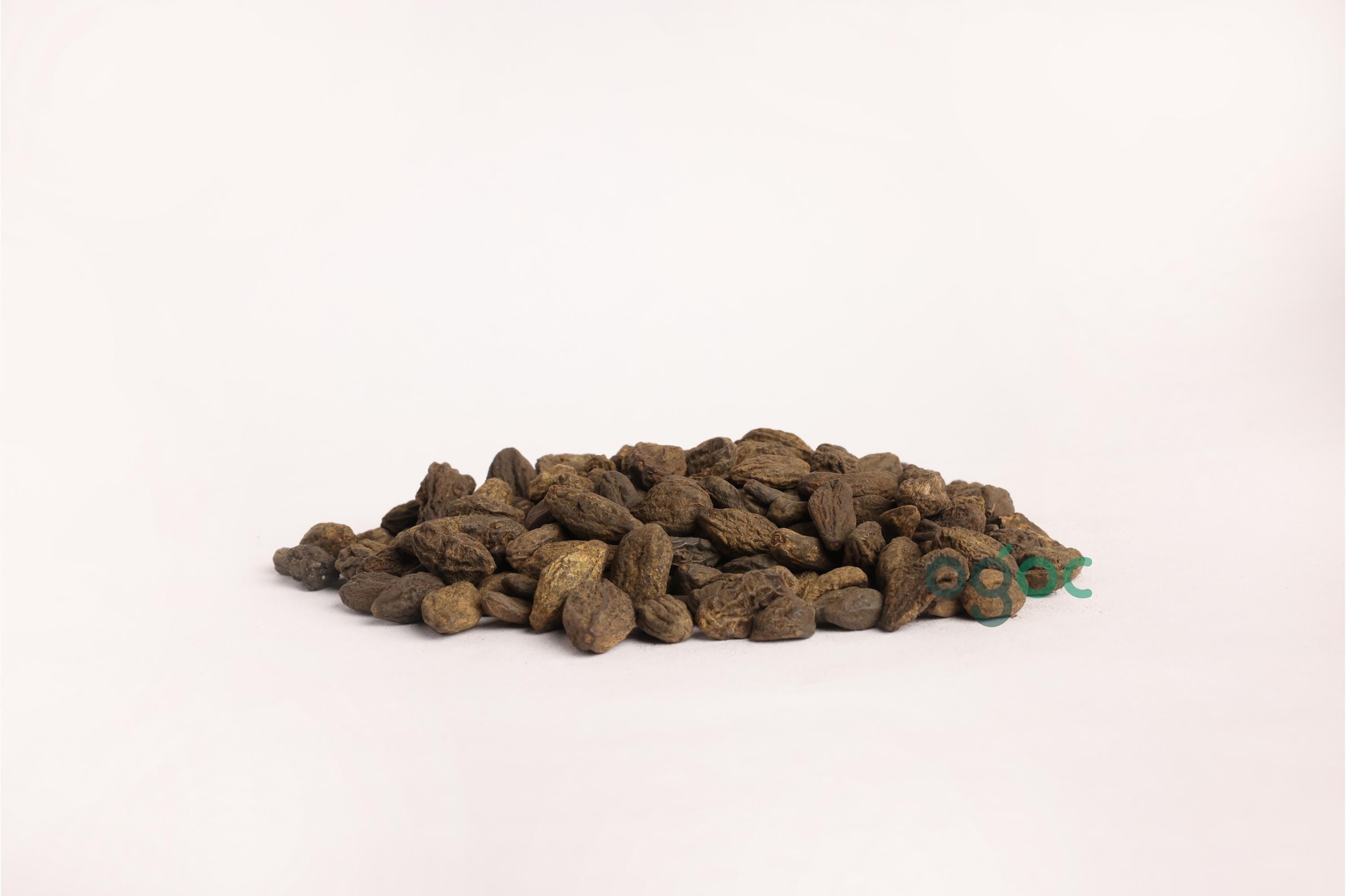 Terminalia Chebula (Myrobalan) | Harra, Harad, Kadukai Thodu | Traditional Herbal Use| OGOC