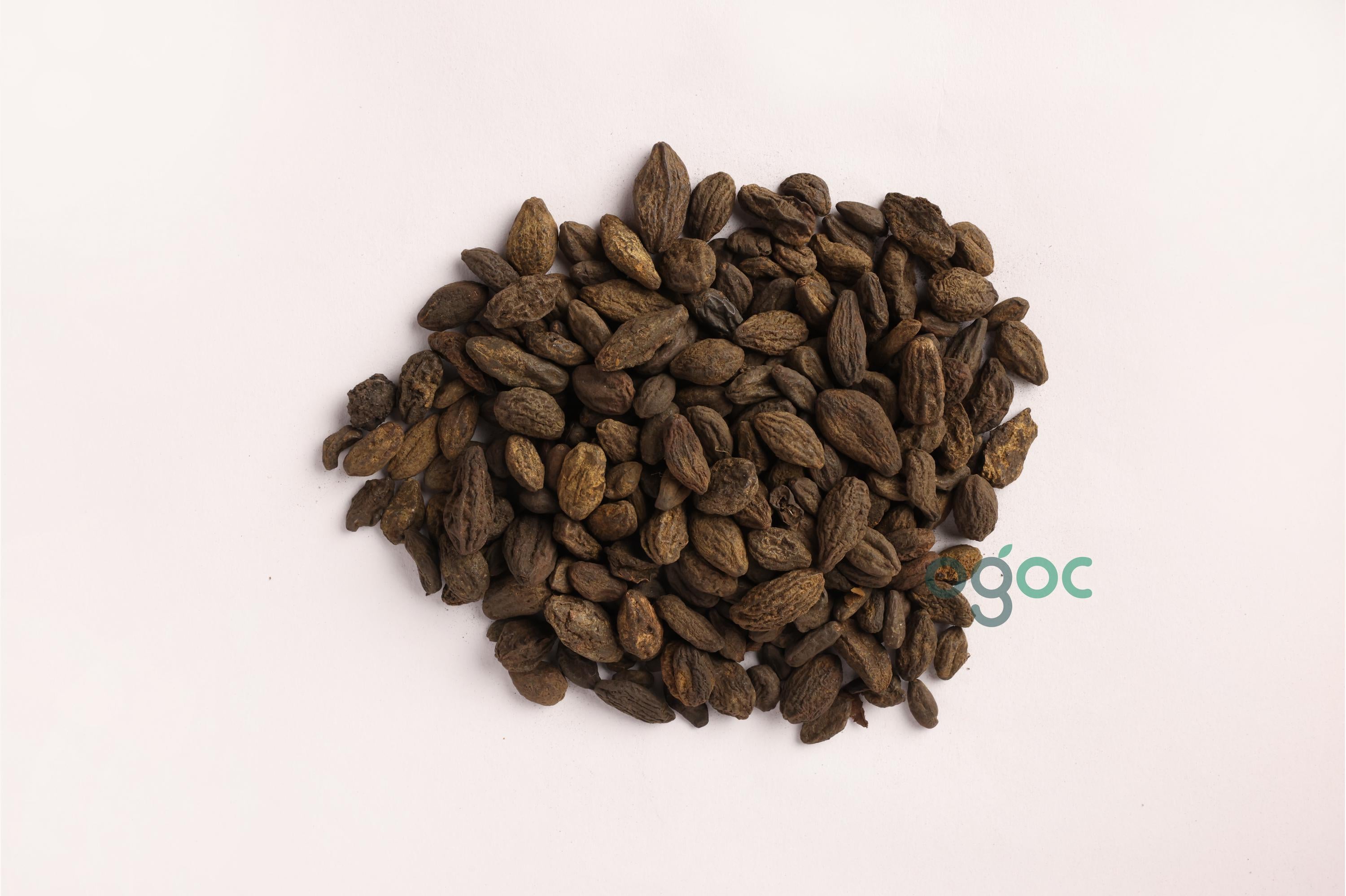 Terminalia Chebula (Myrobalan) | Harra, Harad, Kadukai Thodu | Traditional Herbal Use| OGOC