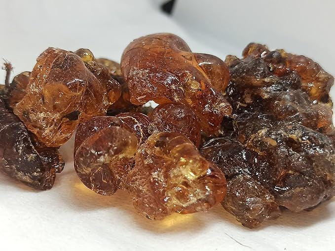 Karuvelam Pisin | Mesquite Tree Gum | Natural Edible Gum - Babul, Kikar, Karivelan | Ayurvedic & Culinary Uses | OGOC