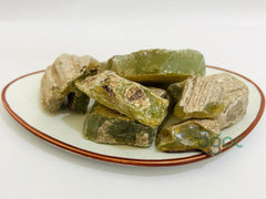 Sal Tree Resin - Shorea robusta | chenjalyam, Sal Dhoop for Incense, Dammar Resin  Pure & Natural Frankincense Resin| OGOC