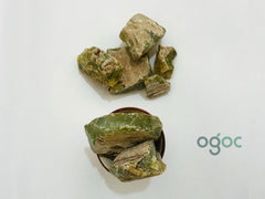 Sal Tree Resin Green - Shorea robusta | chenjalyam, Sal Dhoop for Incense, Dammar Resin Pure & Natural Frankincense Resin| OGOC