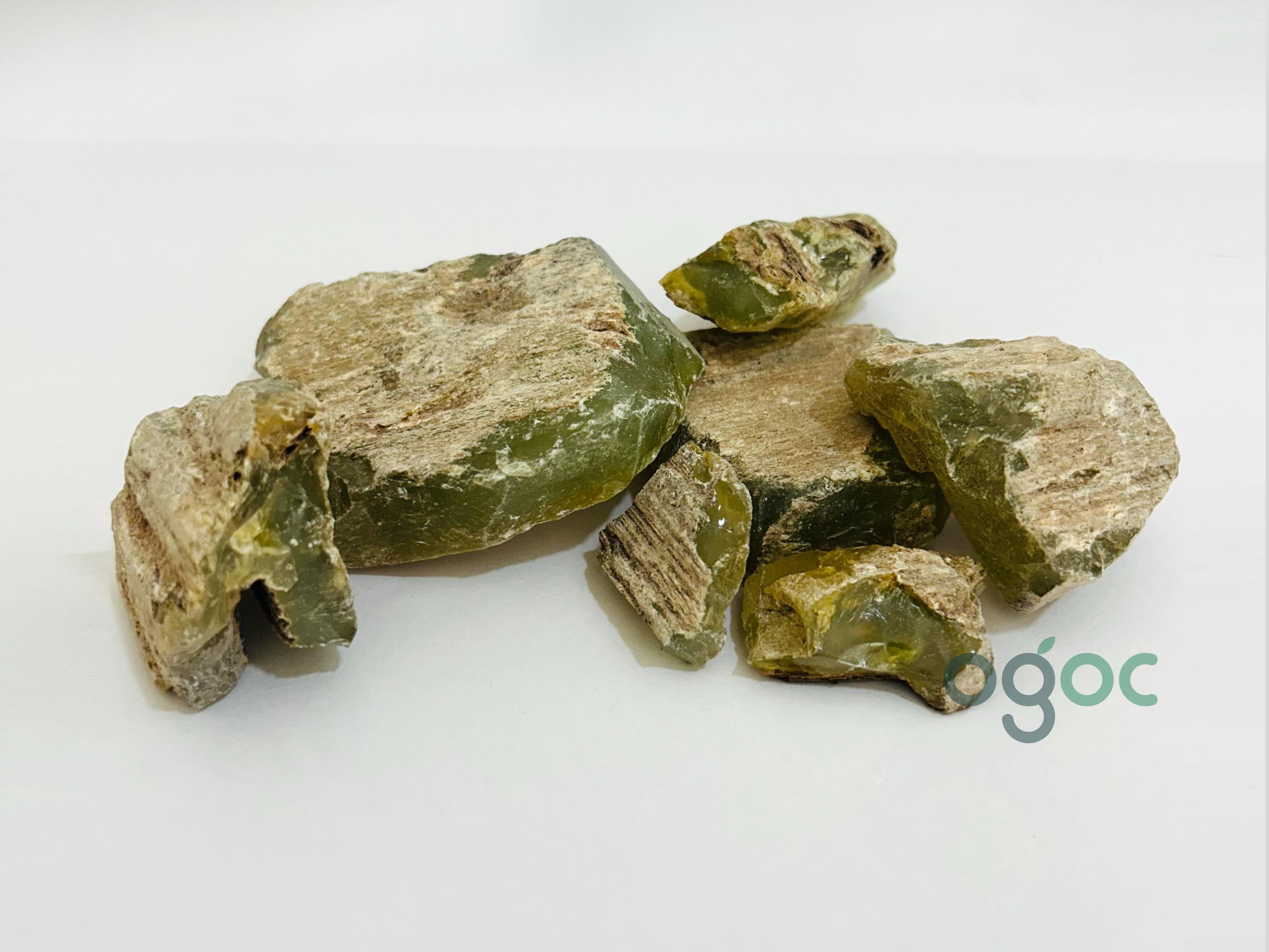 Sal Tree Resin Green - Shorea robusta | chenjalyam, Sal Dhoop for Incense, Dammar Resin Pure & Natural Frankincense Resin| OGOC