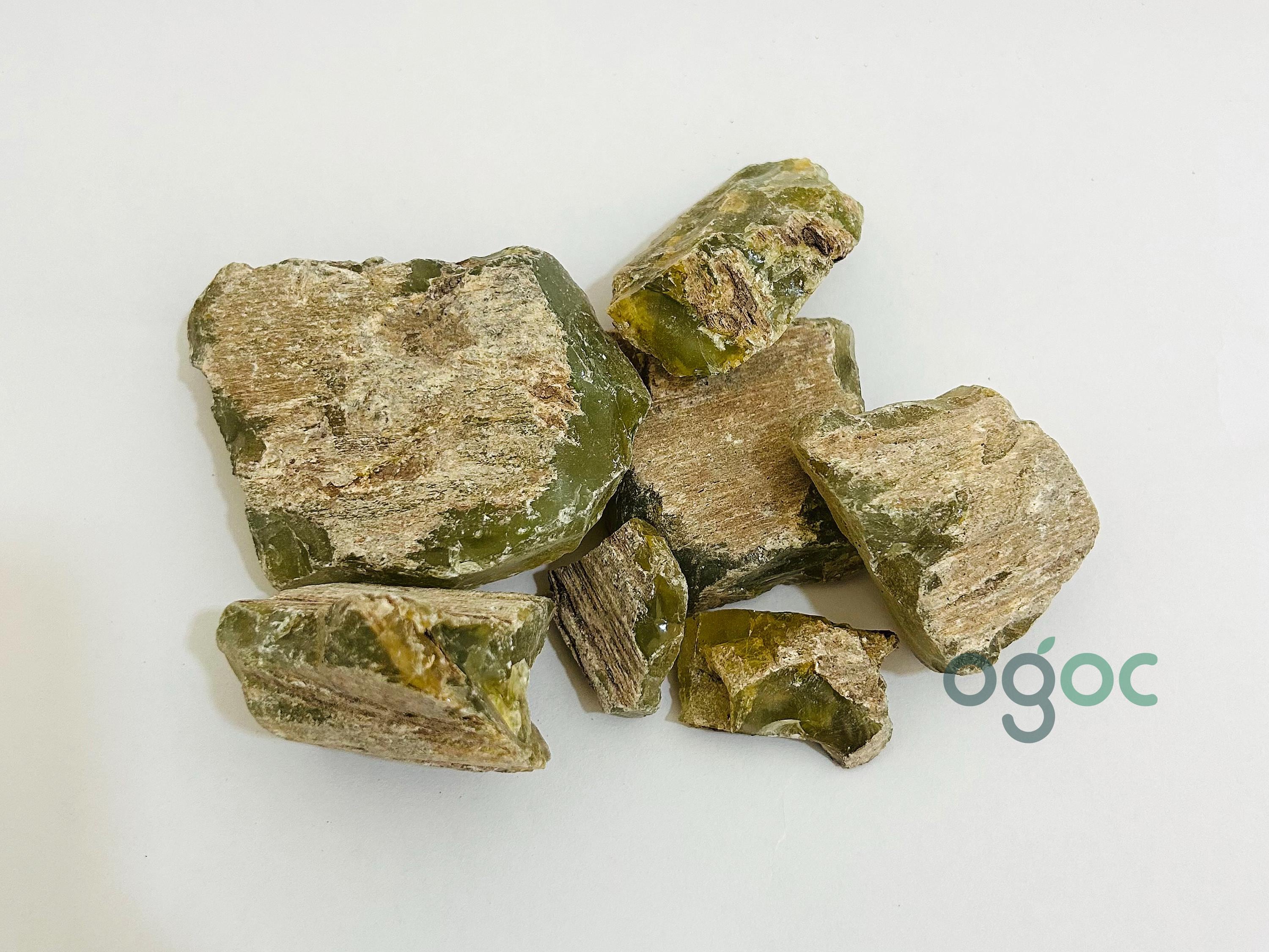 Sal Tree Resin Green - Shorea robusta | chenjalyam, Sal Dhoop for Incense, Dammar Resin Pure & Natural Frankincense Resin| OGOC