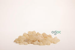 Sal Tree Resin white - Shorea robusta | chenjalyam, Sal Dhoop for Incense, Dammar Resin Pure & Natural Frankincense Resin| OGOC