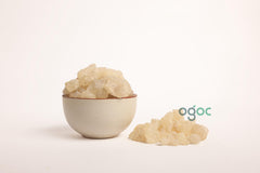 Sal Tree Resin white - Shorea robusta | chenjalyam, Sal Dhoop for Incense, Dammar Resin Pure & Natural Frankincense Resin| OGOC