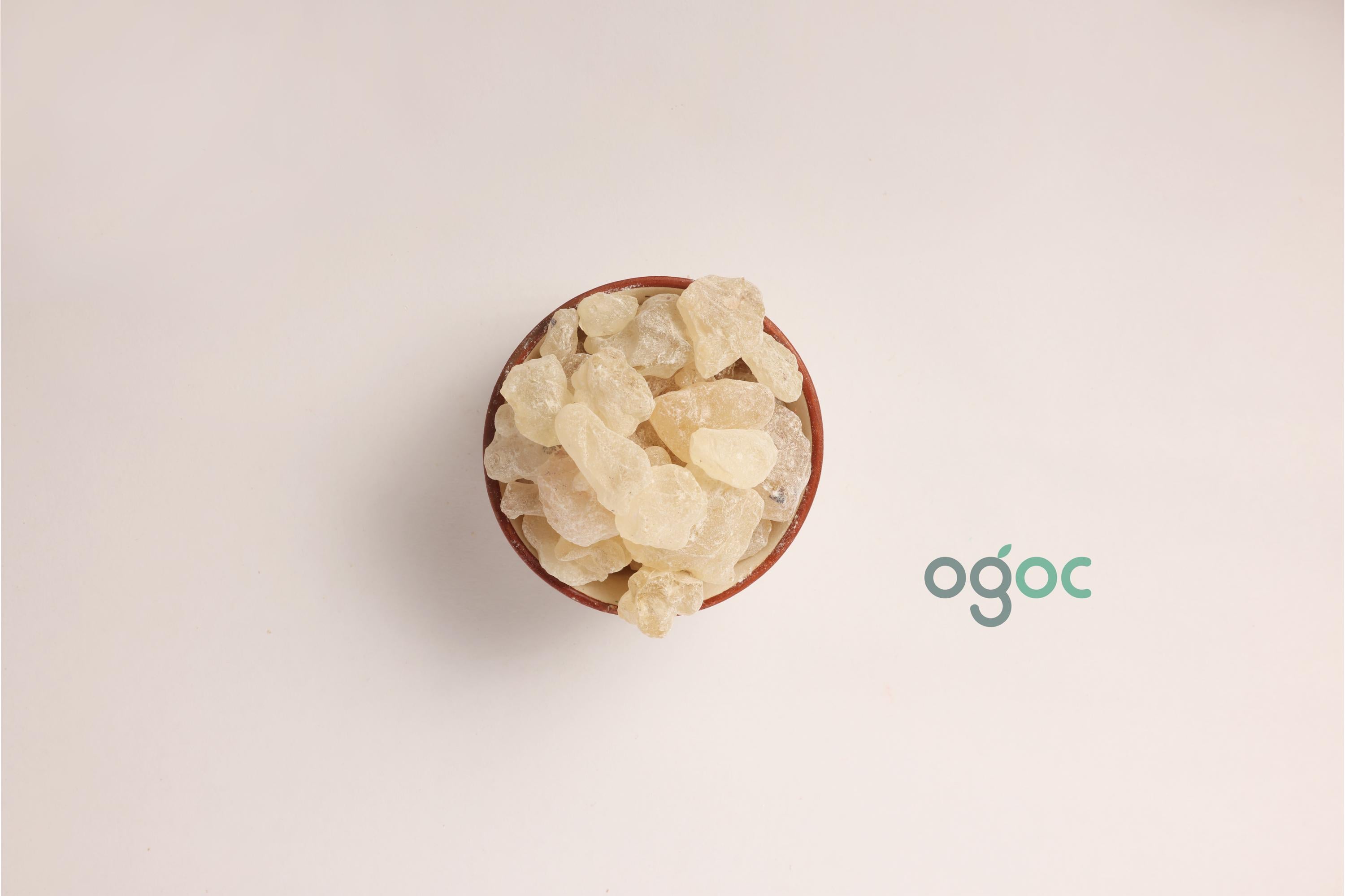 Sal Tree Resin white - Shorea robusta | chenjalyam, Sal Dhoop for Incense, Dammar Resin Pure & Natural Frankincense Resin| OGOC