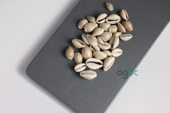 Cowrie Shell Kavidi Natural Sacred Shell for Spiritual Rituals & Cultural Decoration | OGOC