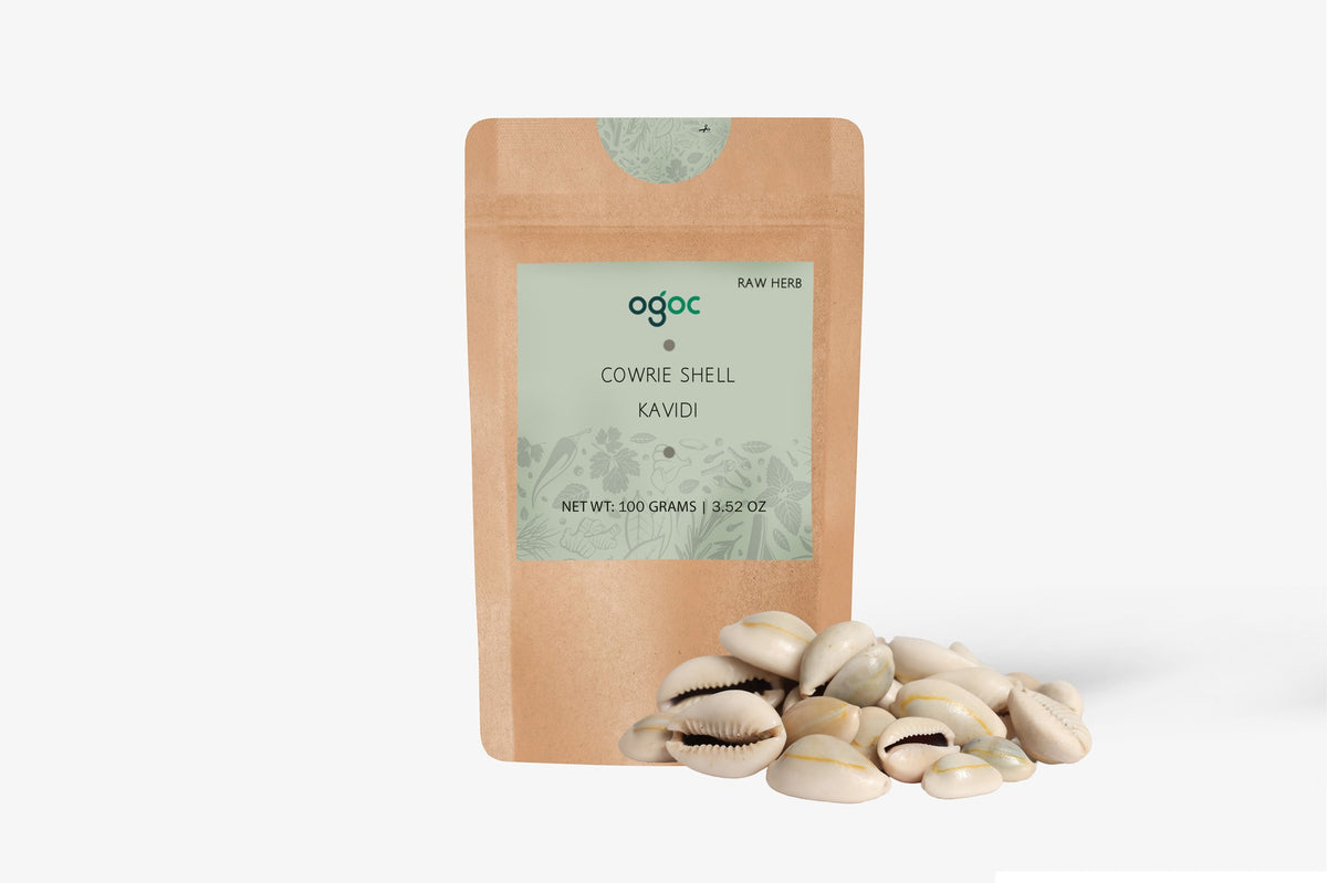 Cowrie Shell Kavidi Natural Sacred Shell for Spiritual Rituals & Cultural Decoration | OGOC
