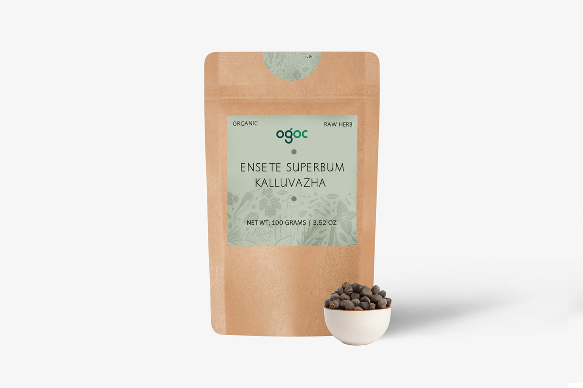 Kalluvazha Seeds (Ensete Superbum) - Wild Banana Seeds | Medicinal & Ayurvedic | OGOC