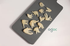 Dactylorhiza Hatagirea Salam Panja Hatta Haddi Salab Panja Panchaule Raw Herb Herbal Product Natural Ingredient Premium Quality Ayurvedic Use Wellness Herbal Remedies | OGOC