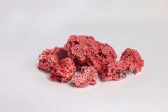 Red Pipe Organ Coral Natural Specimen Tubipora Coral Lal Coral Marine Coral Natural Specimen Decorative Piece Aquarium Display Collectible Premium Quality Marine Artifact Home Decor Study Display | OGOC