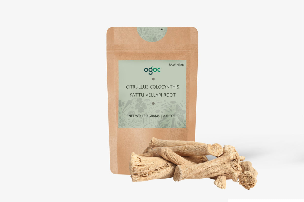 Indrayan Roots (Citrullus colocynthis) | kattu valeri Raw Medicinal Herbs, Traditional Use | OGOC