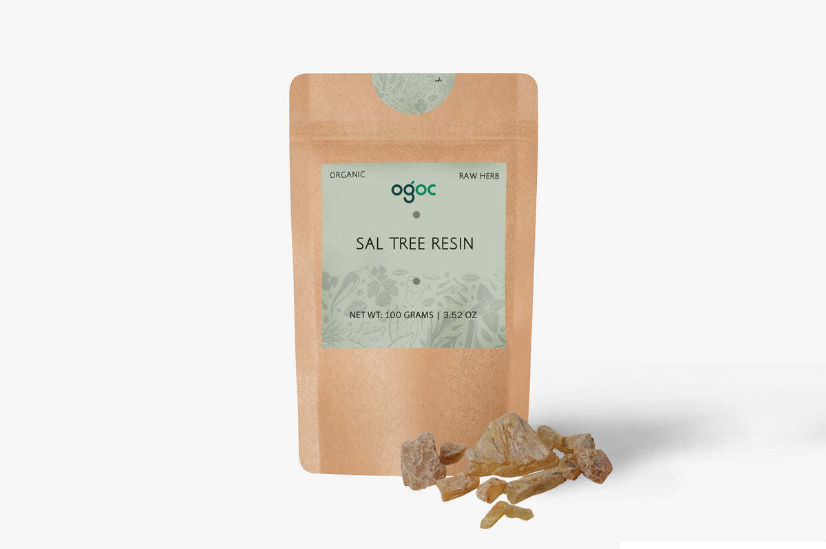 Sal Tree Resin Shorea Robusta Sal Dhoop Dammar Resin Chenjalyam Natural Resin Herbal Product Natural Ingredient Premium Quality Incense Aromatherapy Spiritual Rituals Fragrance | OGOC
