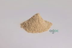 Organic Shatavari Powder (Asparagus Racemosus) – Ayurvedic Women’s Health & Digestive Support | OGOC