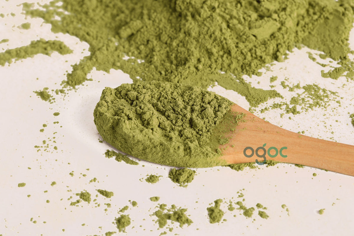 Stevia Powder Stevia Rebaudiana Meethi Tulsi Natural Sweetener Herbal Powder Natural Ingredient Premium Quality Sugar Substitute Healthy Eating Wellness Cooking | OGOC
